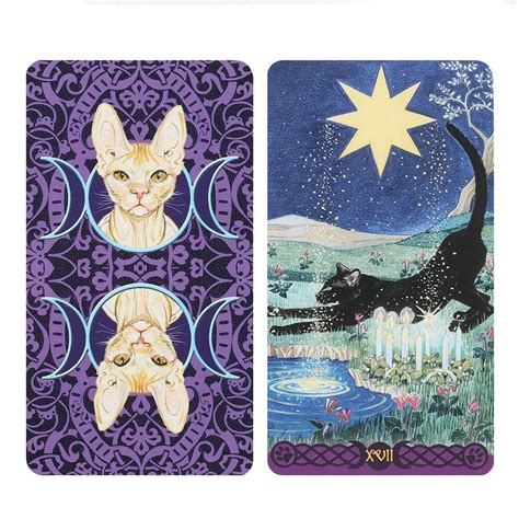 The Magickal Powers of the Pagan Cats Tarot Deck
